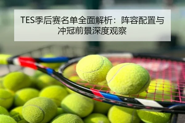 TES季后赛名单全面解析：阵容配置与冲冠前景深度观察